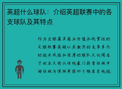 英超什么球队：介绍英超联赛中的各支球队及其特点